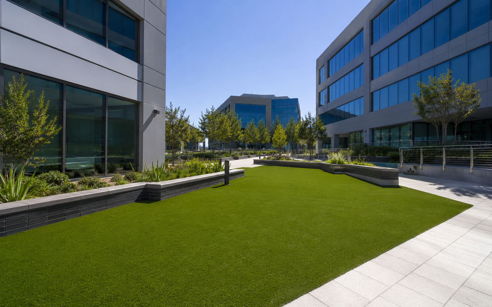 Commercial landscape turf